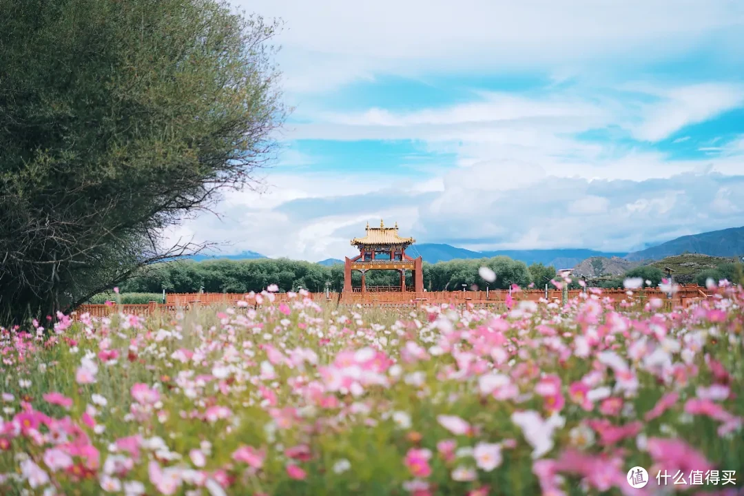 在均温20℃的夏天，过了几天神仙日子