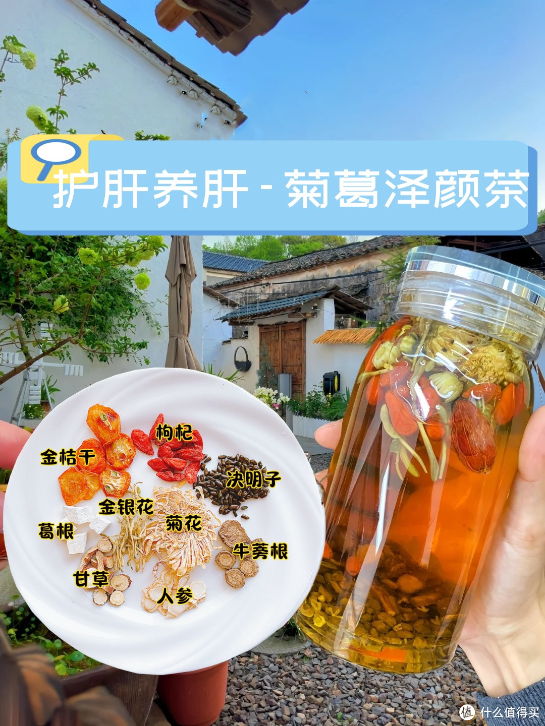 熬夜后喝熬夜养甘茶，菊花决明子茶，清肝、明目、降肝火！