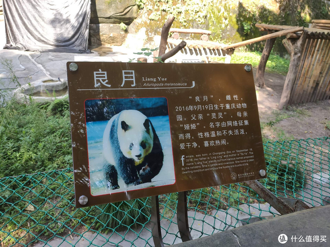 驰骋祖国大地，非主流重庆亲子旅游线路推荐