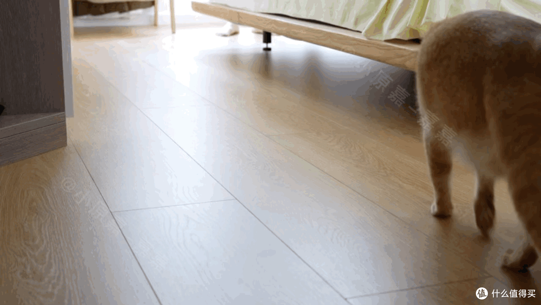 连续4个月实测4台热门扫地机2024终极选购指南！自费1.5W+实测总结9千字深度干货！新手看完选购不踩坑！