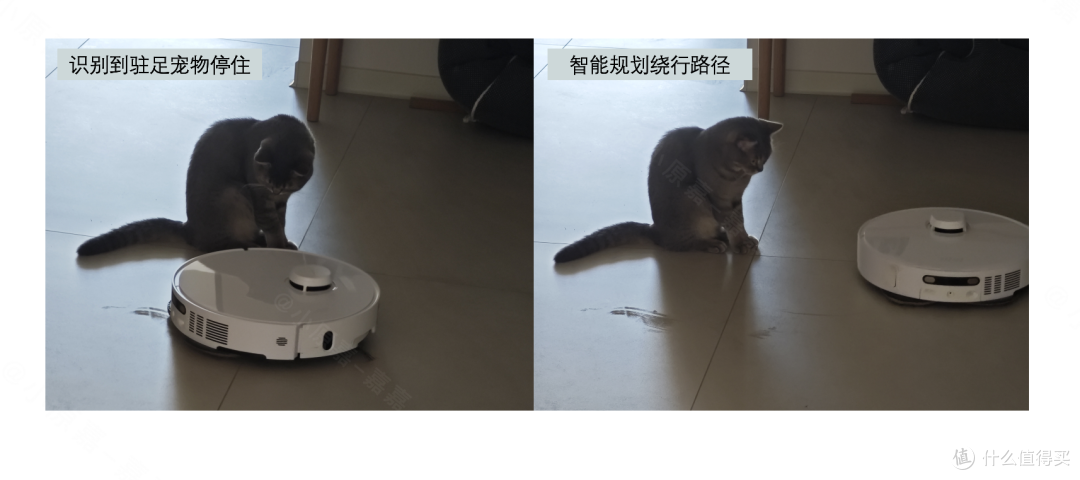 连续4个月实测4台热门扫地机2024终极选购指南！自费1.5W+实测总结9千字深度干货！新手看完选购不踩坑！