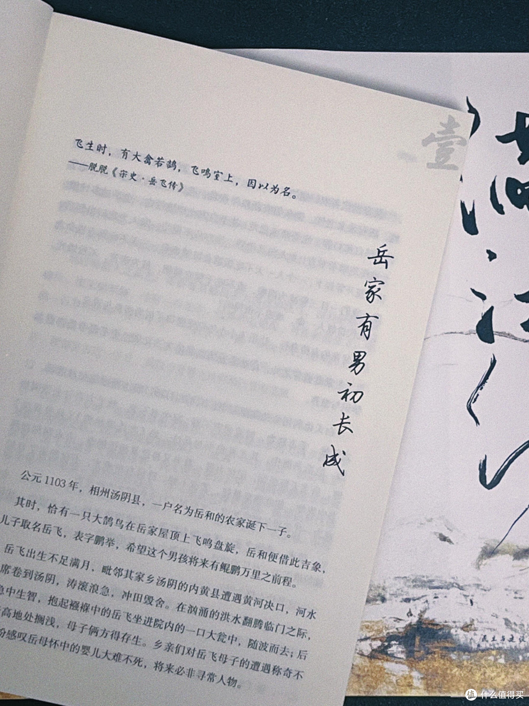 一人抵万军,今天聊一聊岳飞的遗憾