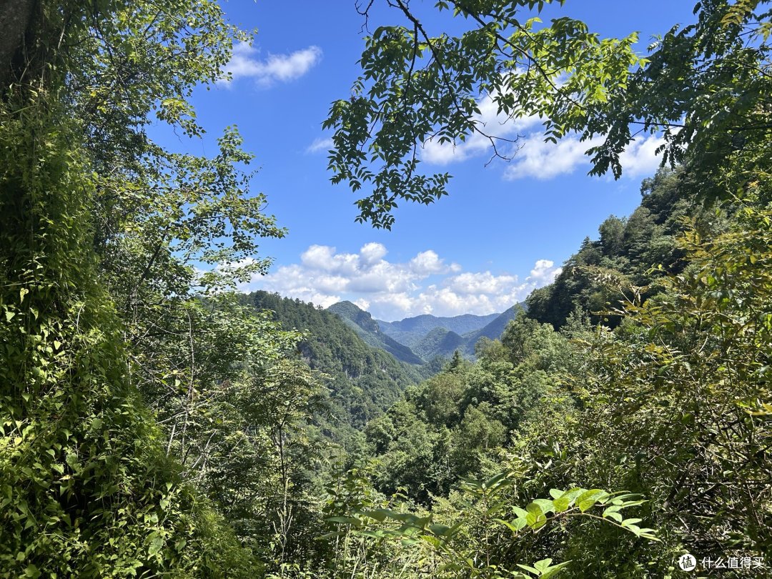 一起旅游之探秘神农架