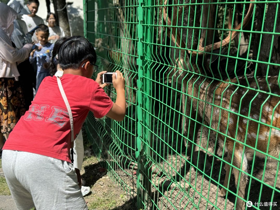 一起旅游之探秘神农架