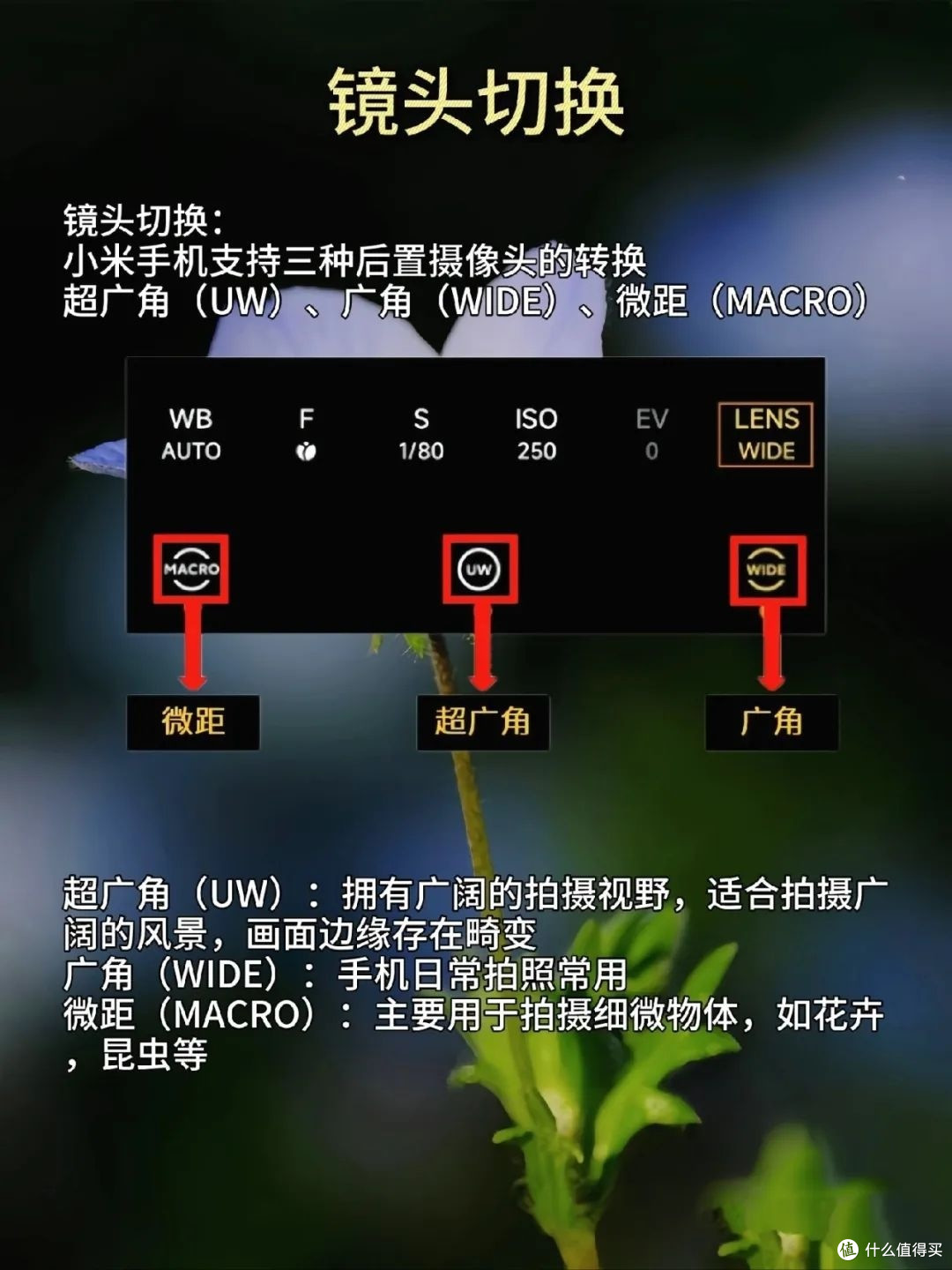 小米14ultra竟然拥有与单反相机相媲美的专业拍照模式！