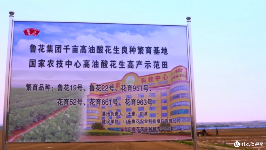 创新力量|鲁花引领高油酸时代，助力花生油产业再升级