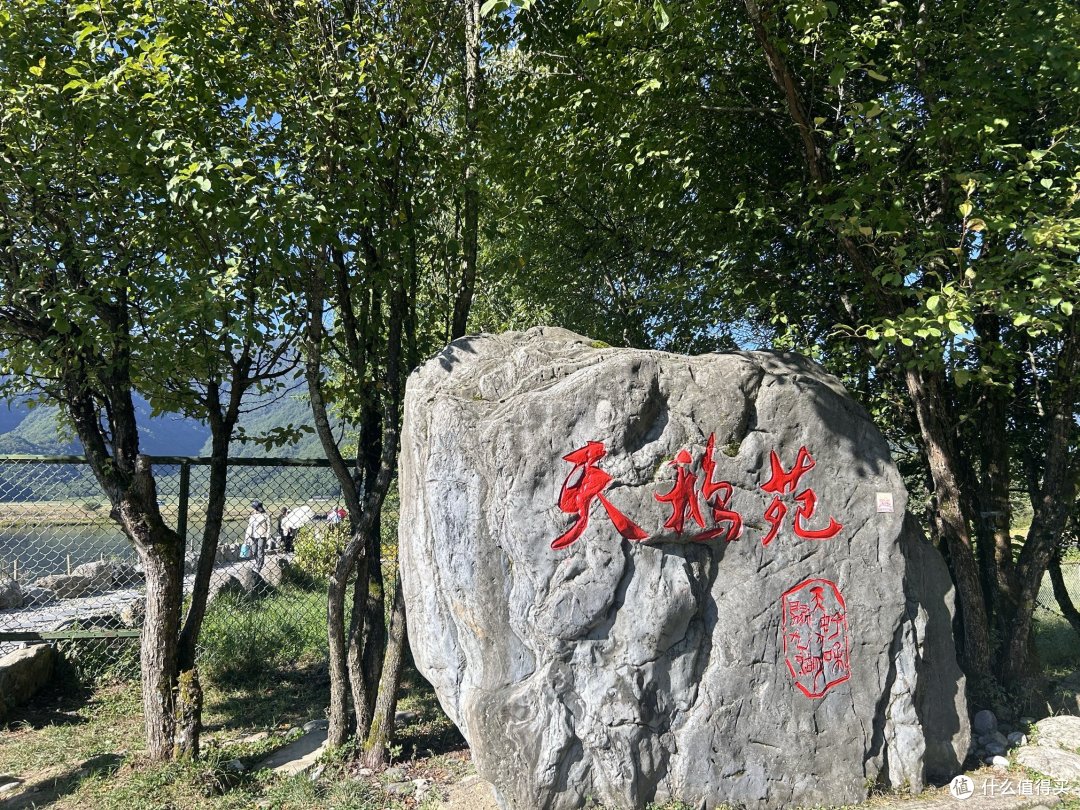 一起旅游之探秘神农架
