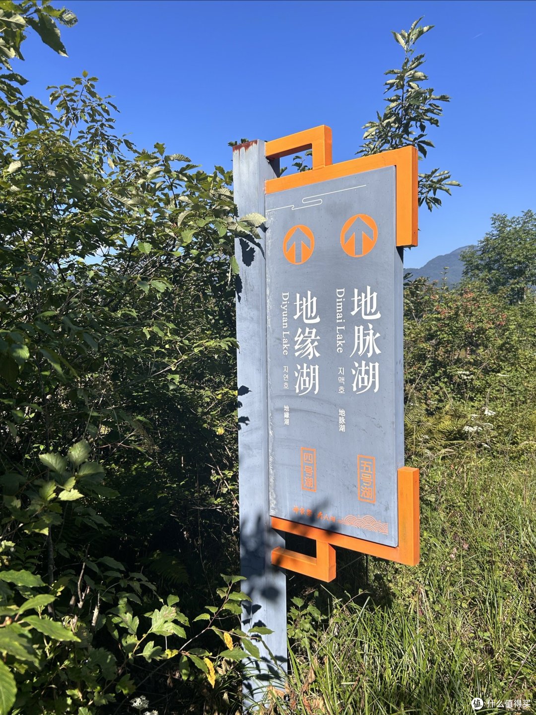 一起旅游之探秘神农架