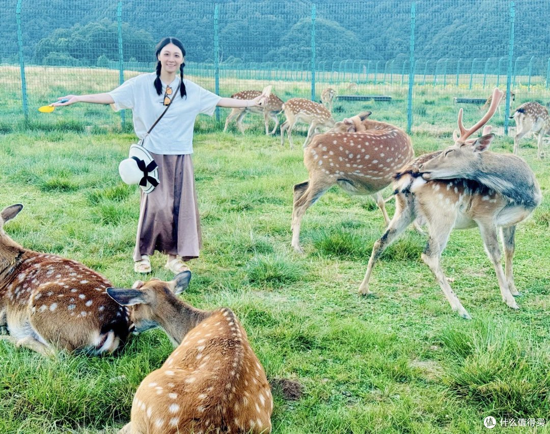 一起旅游之探秘神农架