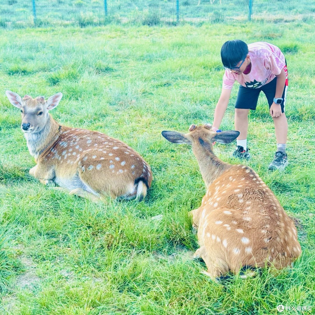 一起旅游之探秘神农架