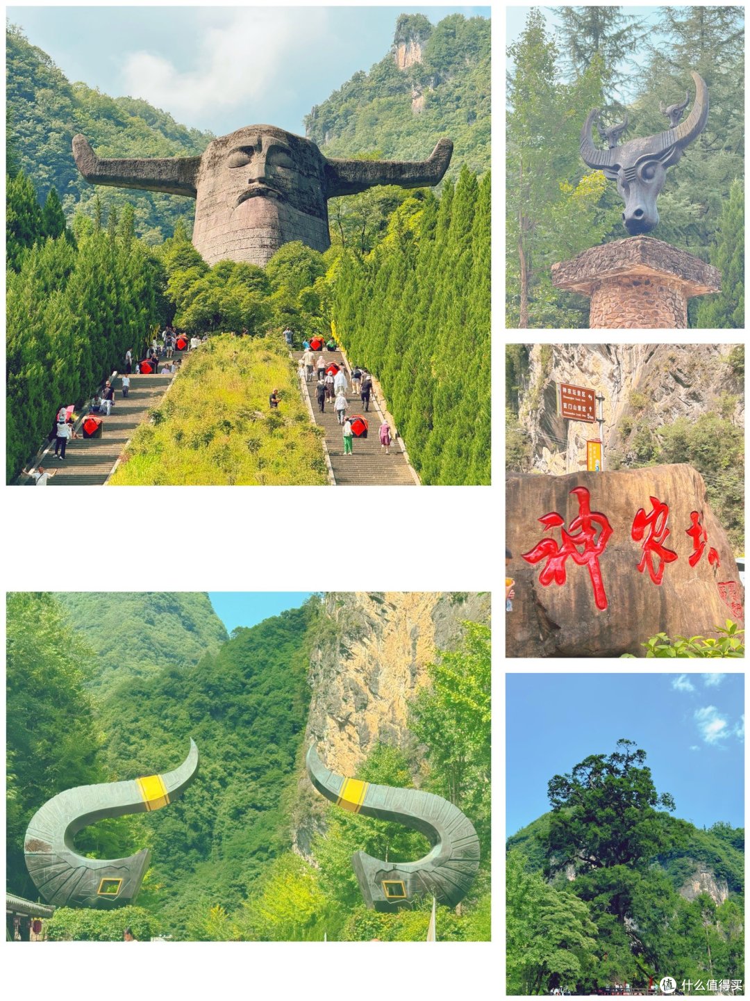 一起旅游之探秘神农架