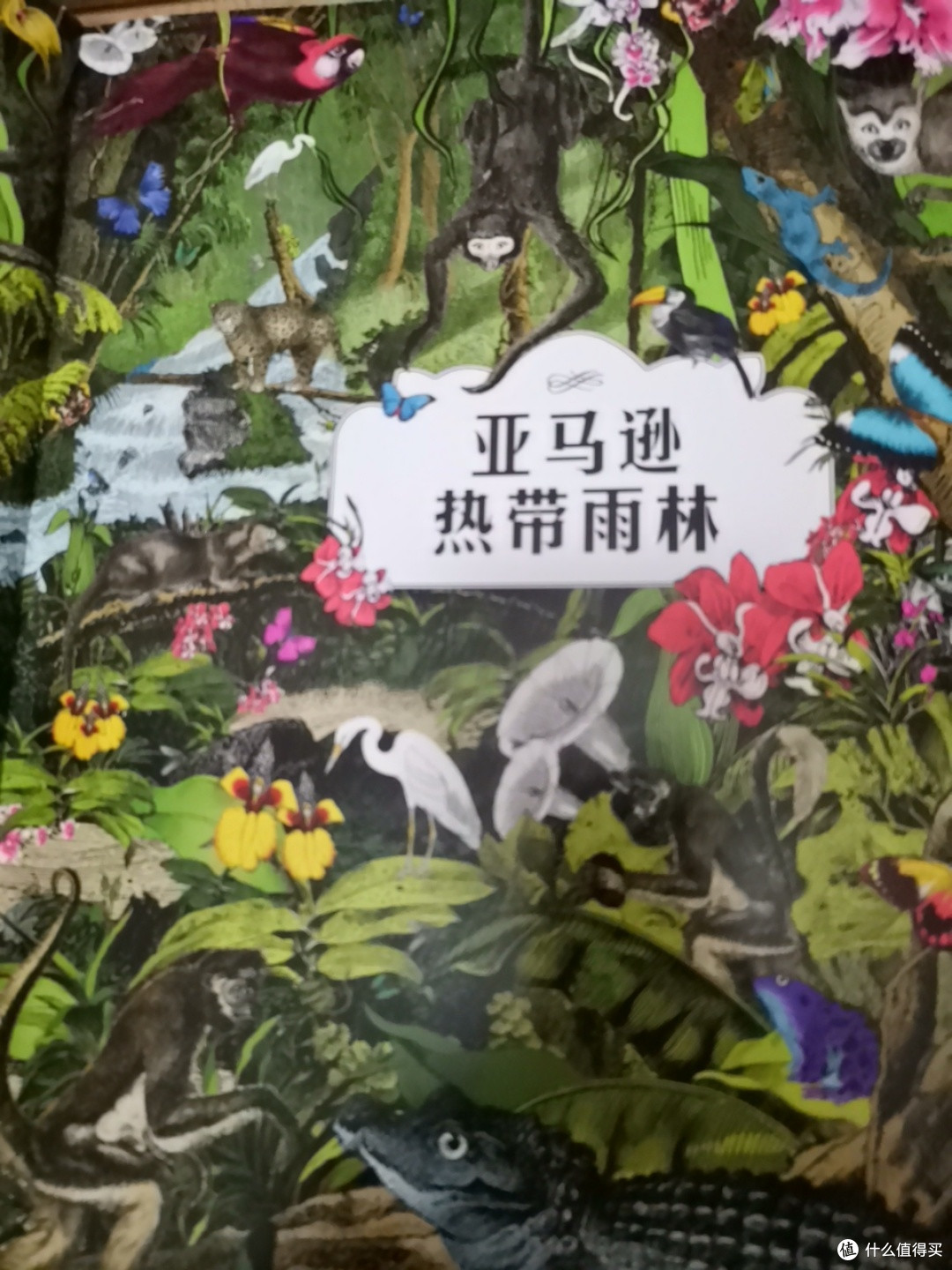 奇妙的花园,是不让您流连忘返?