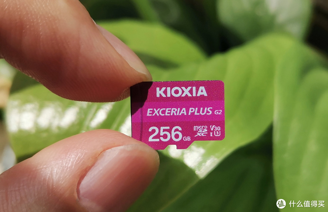 铠侠EXCERIA PLUS G2 极至光速microSD存储卡256G：高速稳定，支持4K拍摄，行车记录仪存储新选择