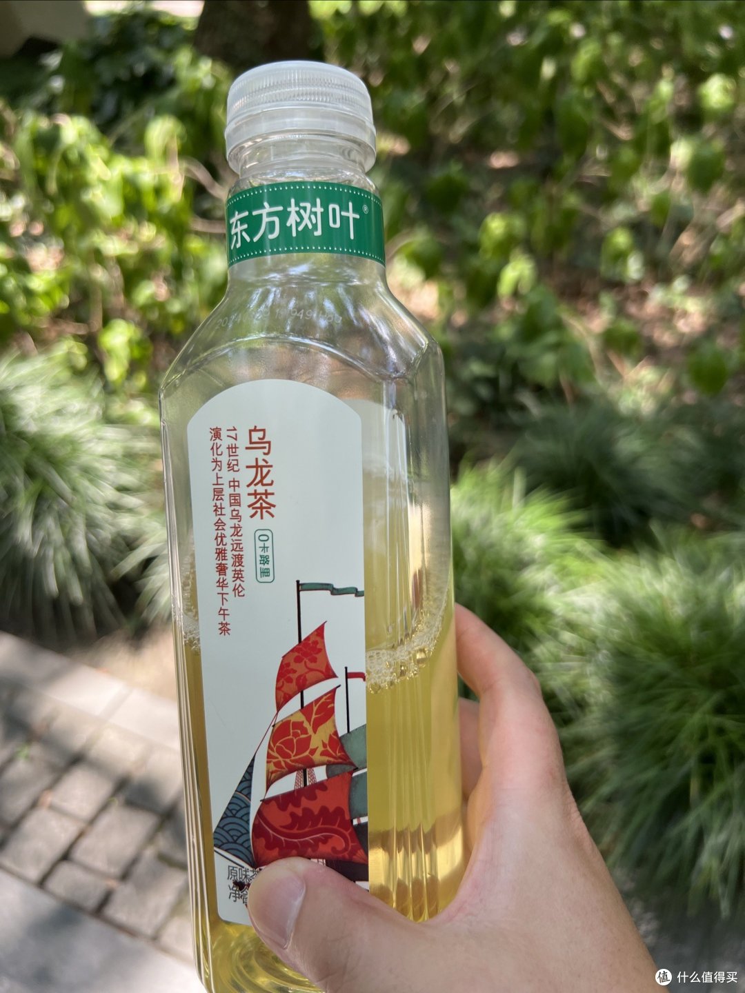 搬砖人的日常,喝一瓶4元钱的东方树叶乌龙茶