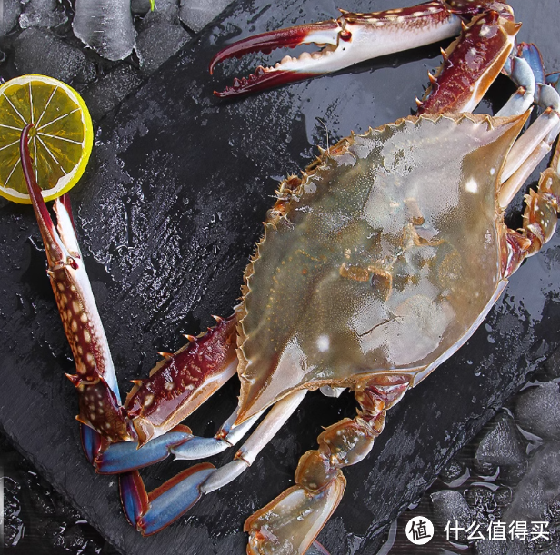 🦀解锁海鲜盛宴！3斤特大梭子蟹，每一口都是海的味道🌊