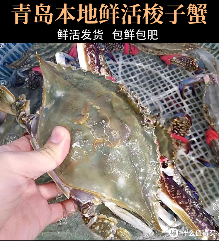 🦀解锁海鲜盛宴！3斤特大梭子蟹，每一口都是海的味道🌊