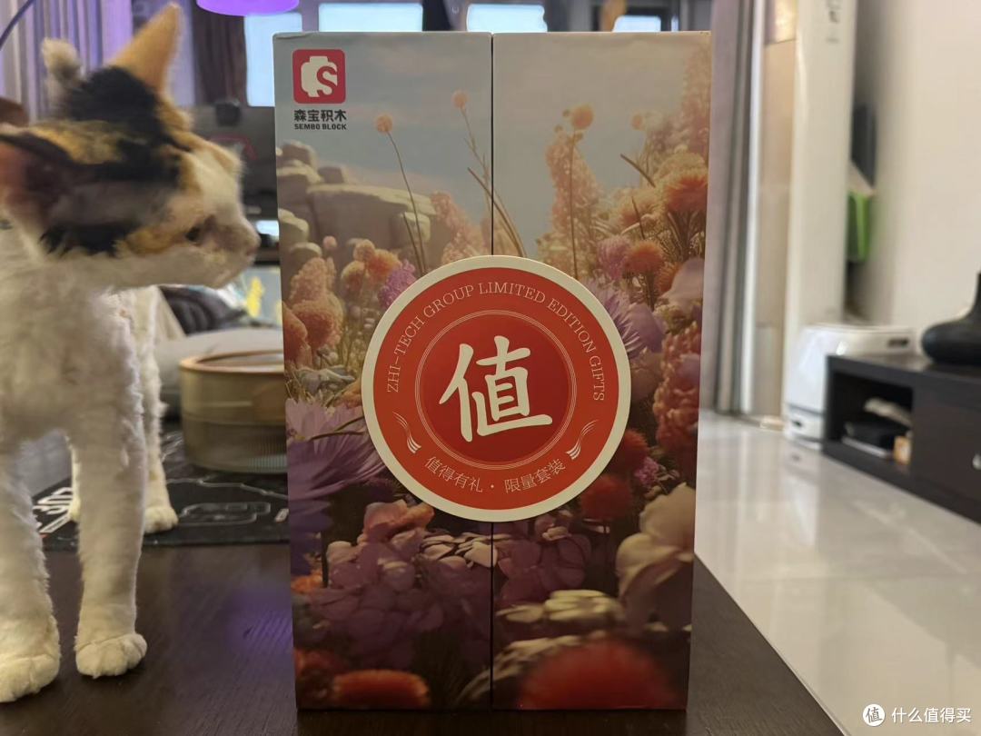 拖延症来拼好像是去年兑换的值得买积木了