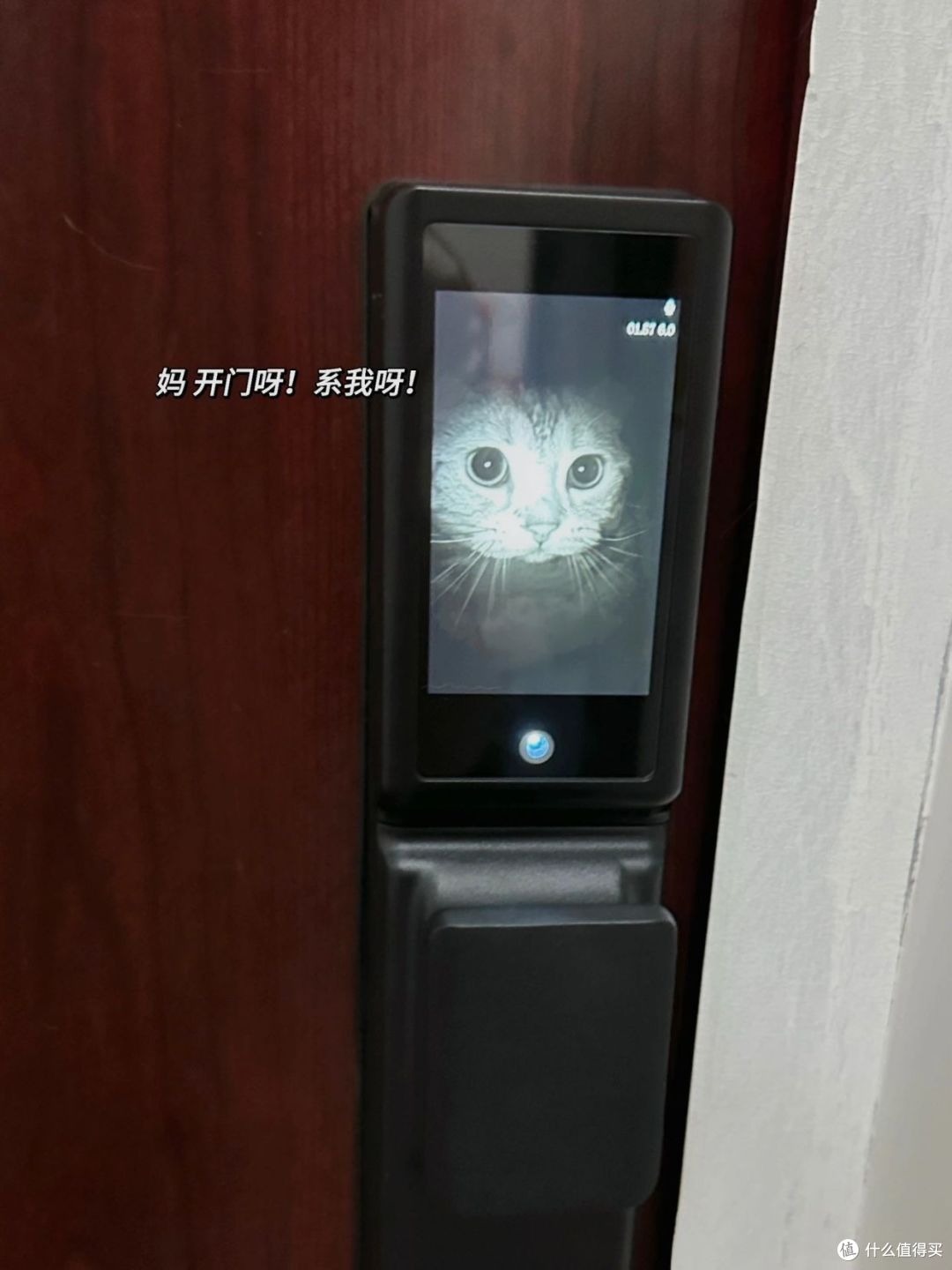 别被商家洗脑了，这5样东西不用买贵的，不是误导，是经验教训