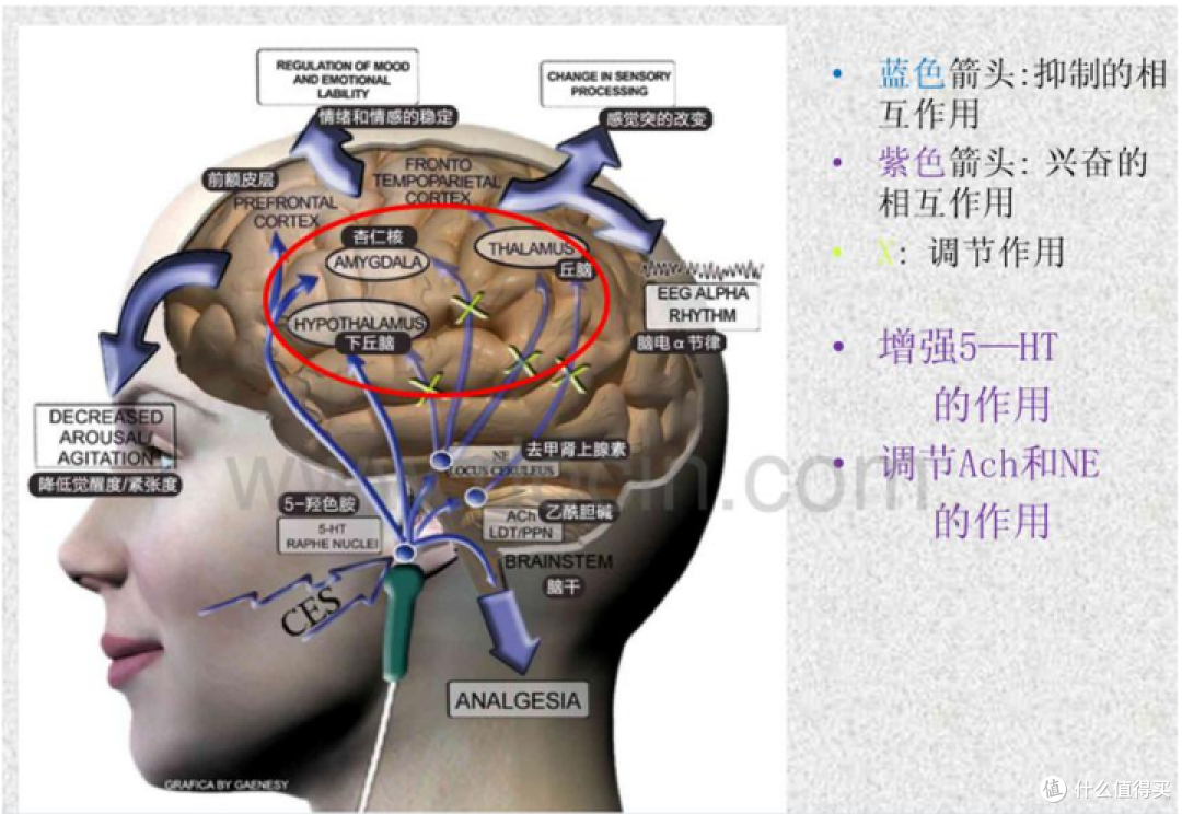 改善睡眠质量的睡眠仪好用吗?经过妈妈的实测,给大家分享一下左点睡眠仪的实测体验