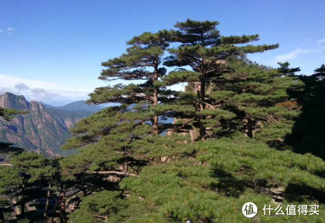 黄山旅游攻略