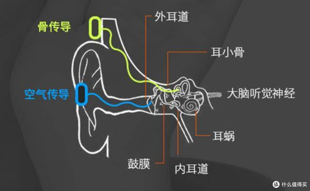 选戴助听器,合适最重要丨助听器品牌推荐!助听器应该怎么选购?内附左点骨传导助听器深度测评!