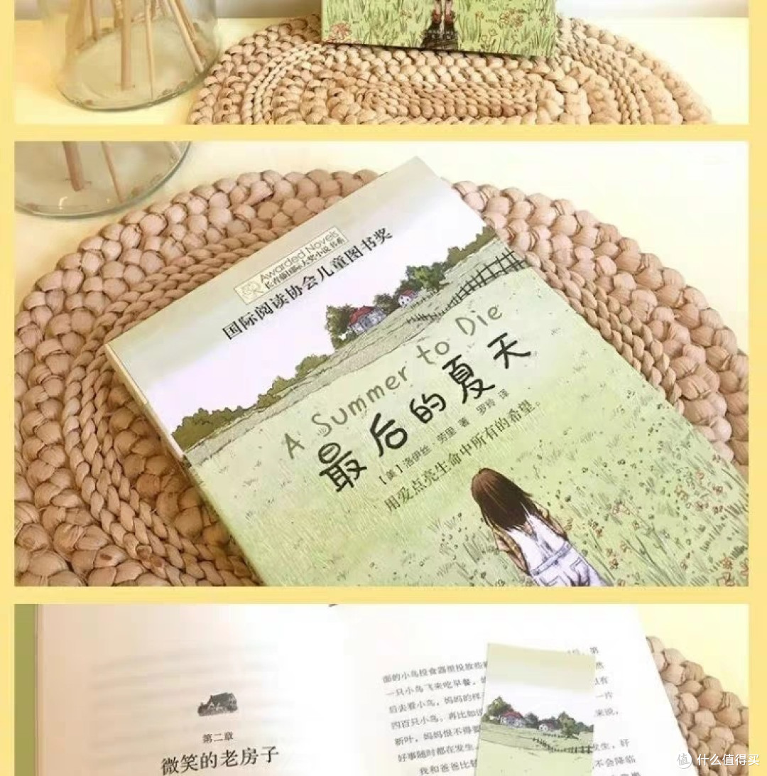 一本好书分享最后的夏天!