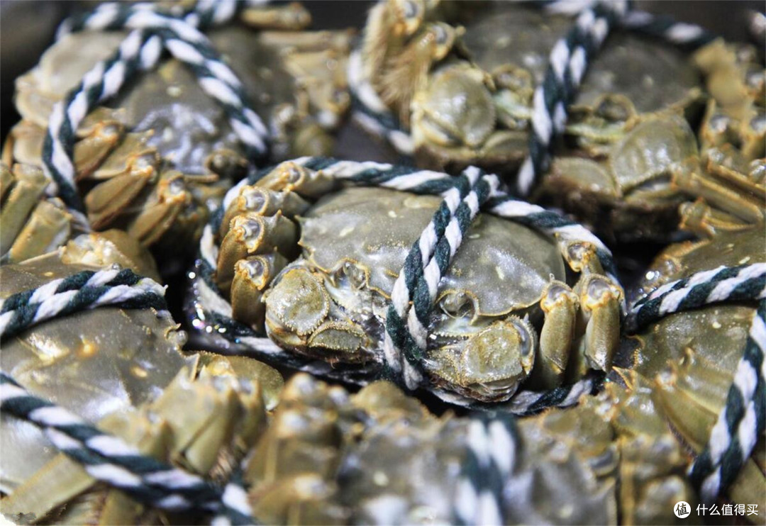 我国哪的螃蟹最好吃?除了阳澄湖,这6种名气不小,过节提前囤点