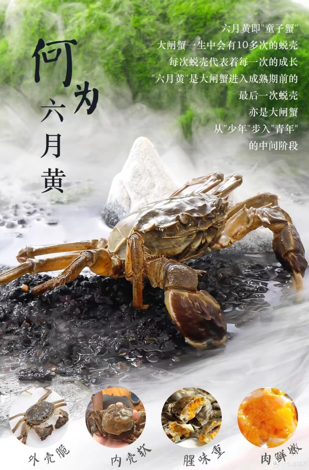中秋团圆夜,与大闸蟹盛宴的美味邂逅!
