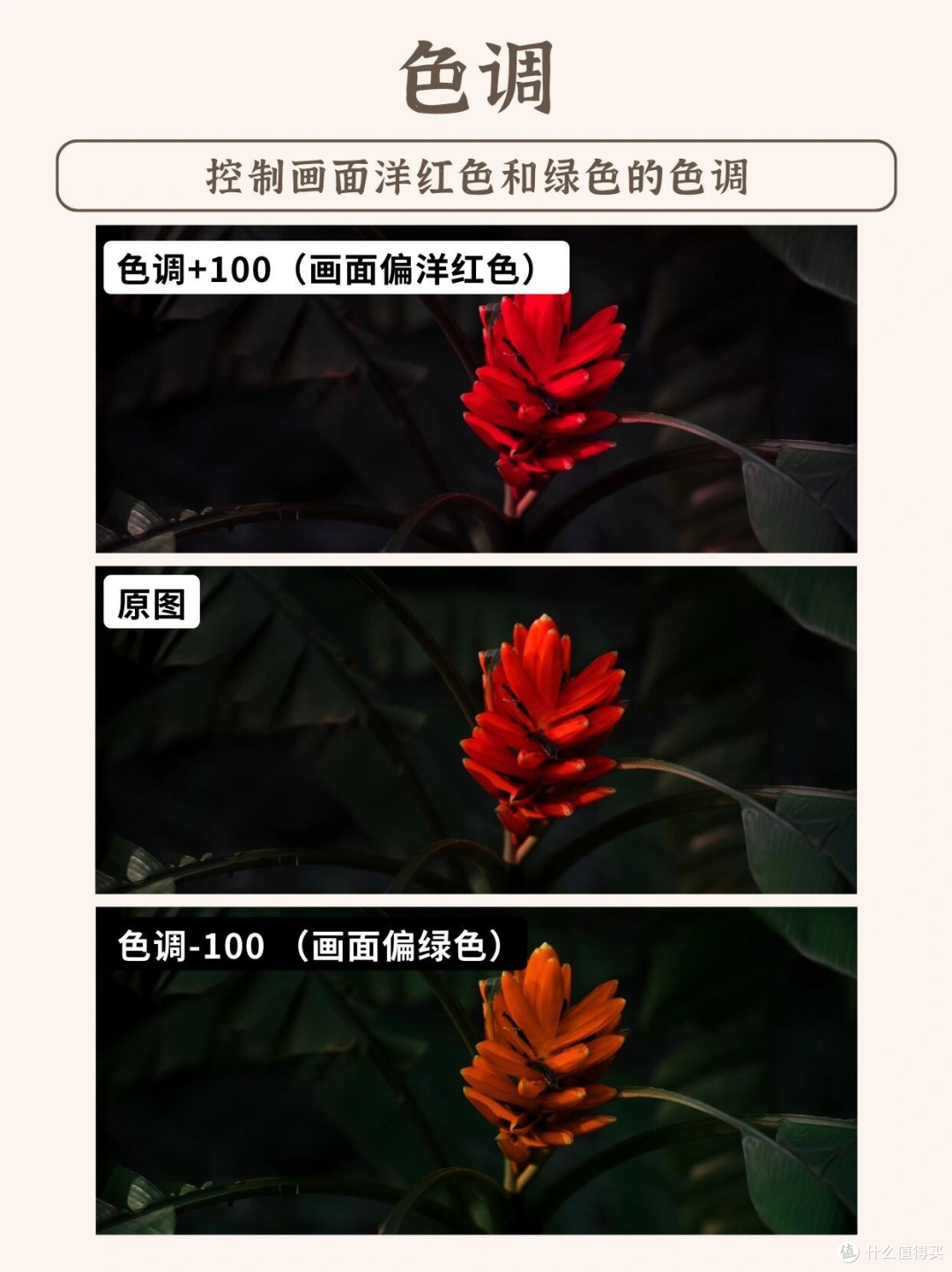 手机调色参数详解：理论与实践结合
