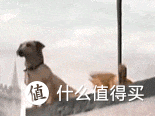 速看