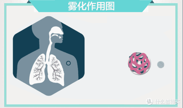 家中必备神器!雾化器如何助力宝宝轻松呼吸?