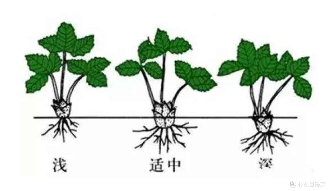 image-20240909142304779