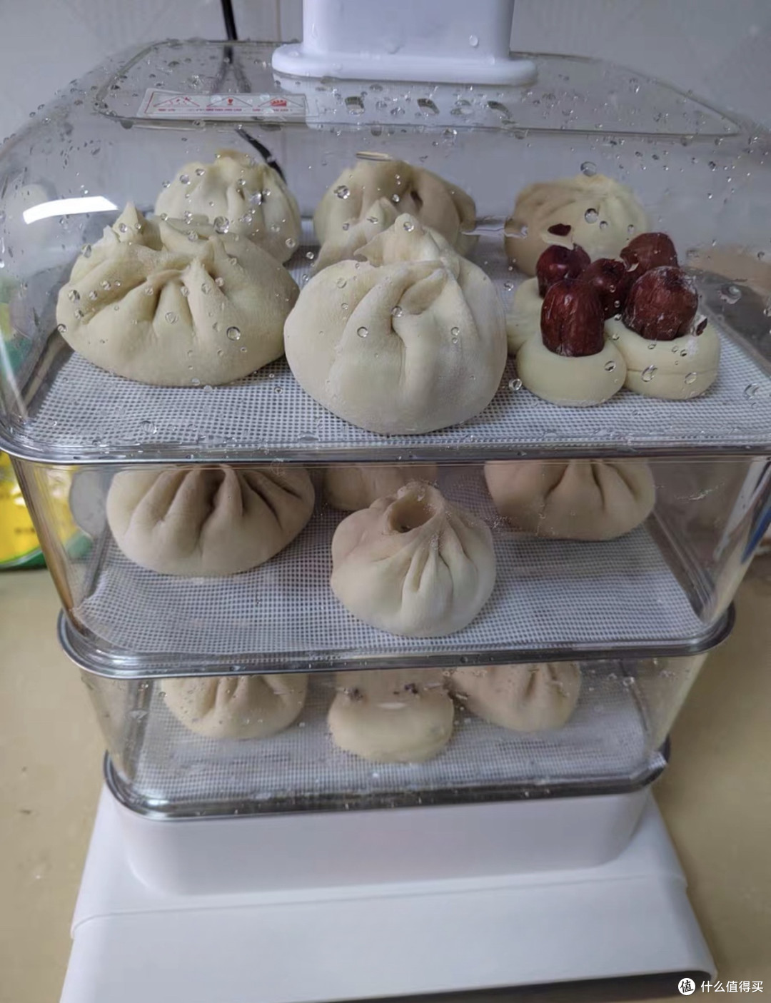塑料电蒸锅,是厨房神器还是致癌毒物?