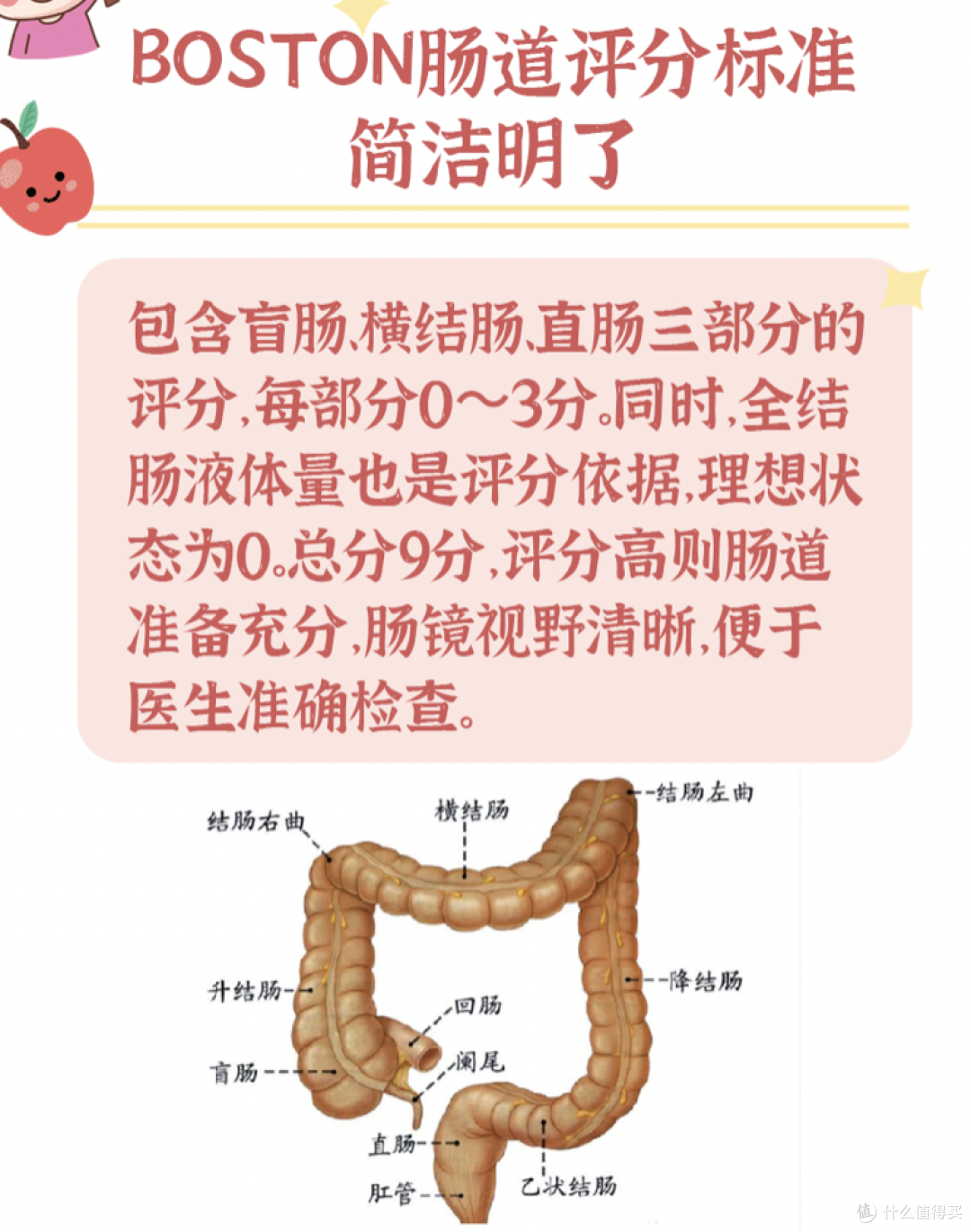 杠精讲健康:结肠镜那些事,你该知道!