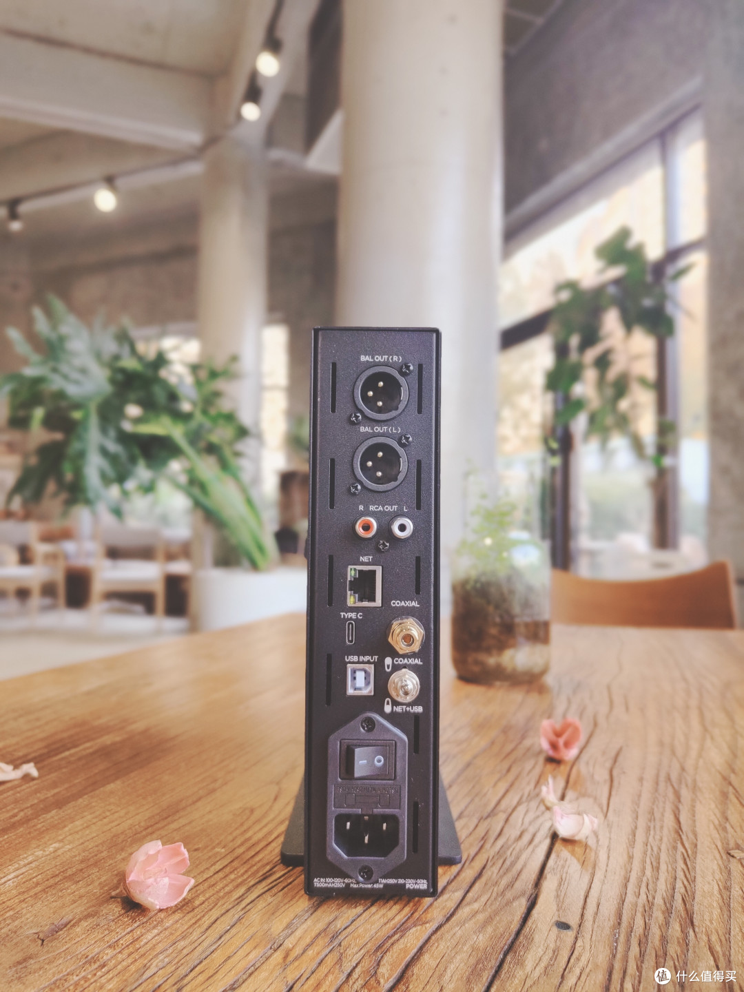 老烧的万元级大耳不二之选，HIFIMAN Arya Organic带来巅峰音乐享受