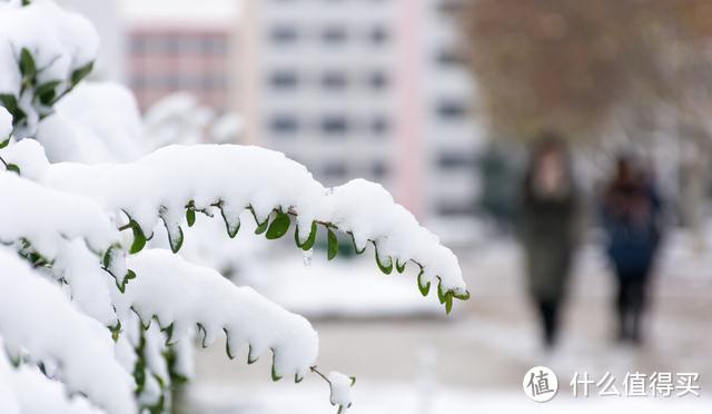 冷回“三九”？新一轮雨雪来袭，要冷到啥时？农谚怎么说