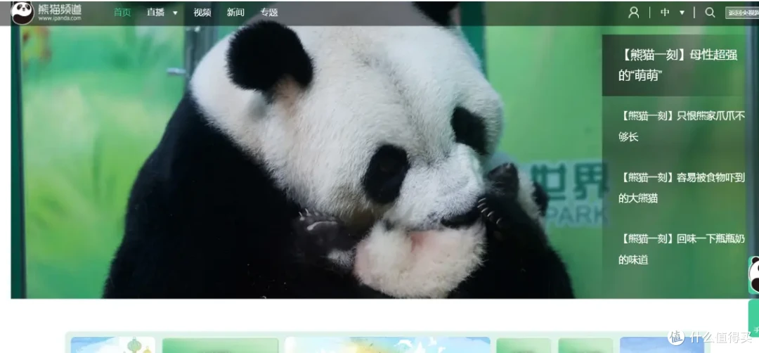 22个好玩有趣的网站,快乐摸鱼一整天!