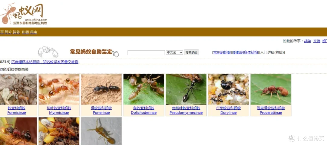 22个好玩有趣的网站,快乐摸鱼一整天!