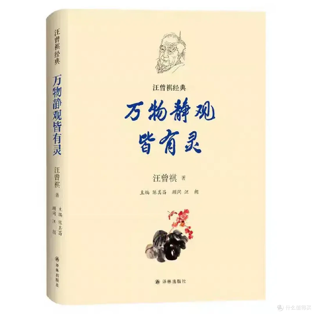 小时候品不了的“细糠”,现在被捧成国产神作了?