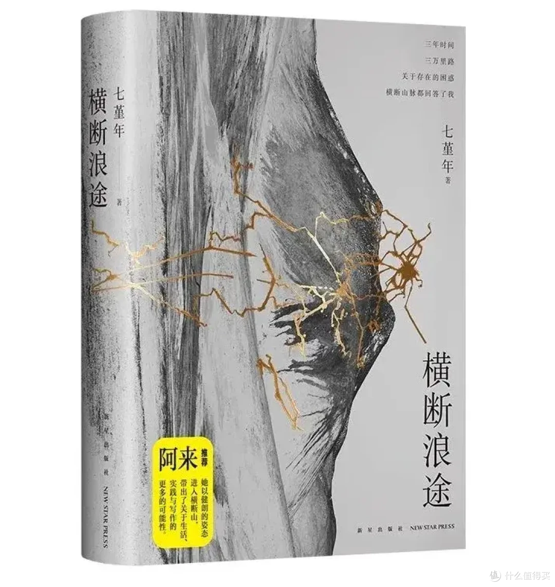 小时候品不了的“细糠”,现在被捧成国产神作了?