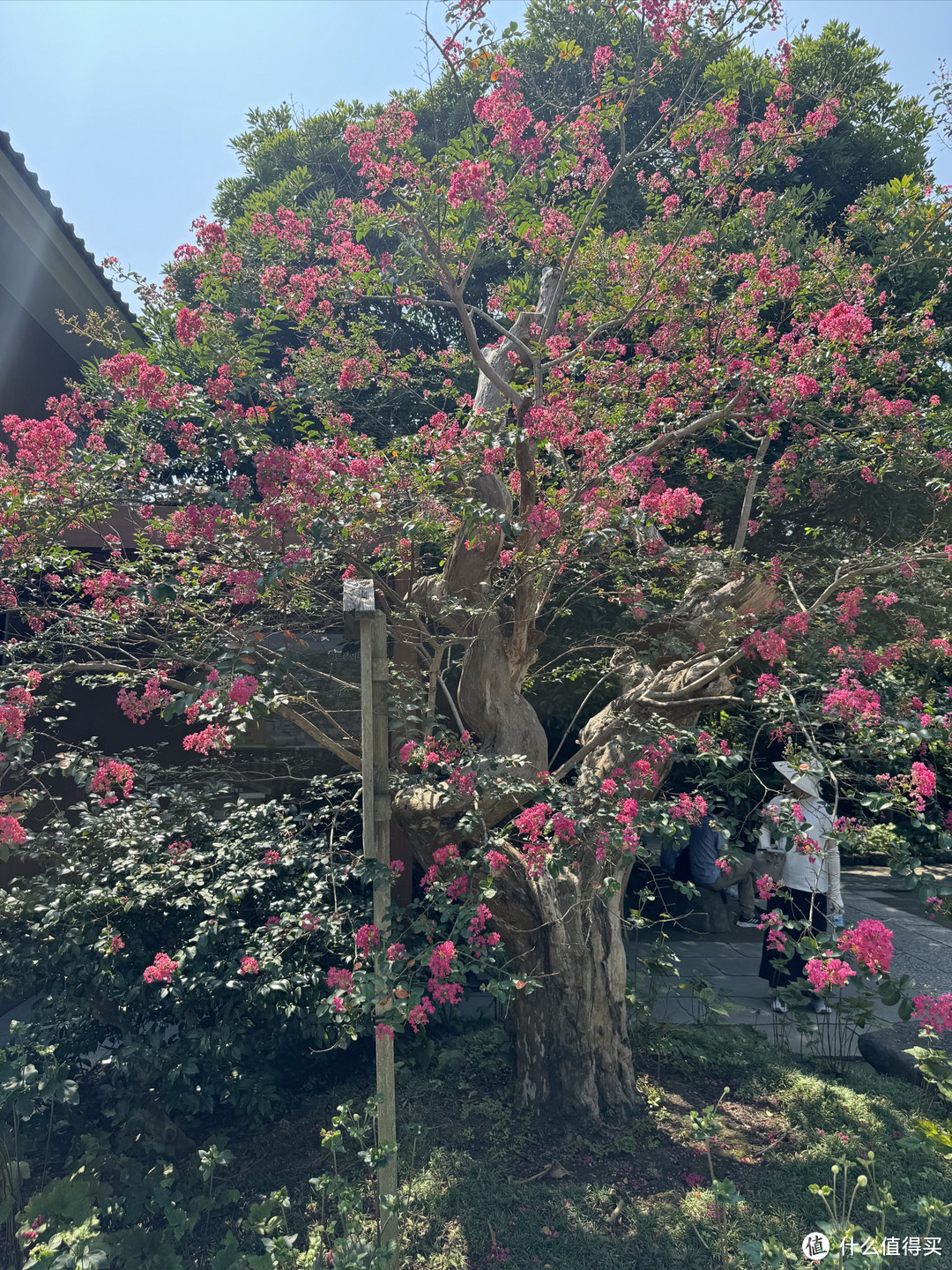 在日本的日子：一个背包，一个日本！第一个周末！