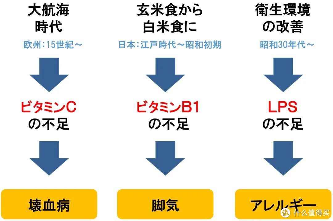 “免疫维生素”LPS的安全性！