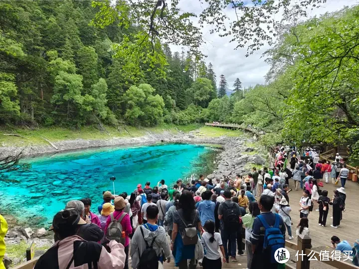 九寨沟的氪金玩法，带老人孩子一定要用上！比环球影城和迪士尼都更值