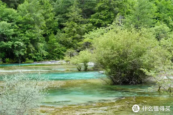 九寨沟的氪金玩法，带老人孩子一定要用上！比环球影城和迪士尼都更值