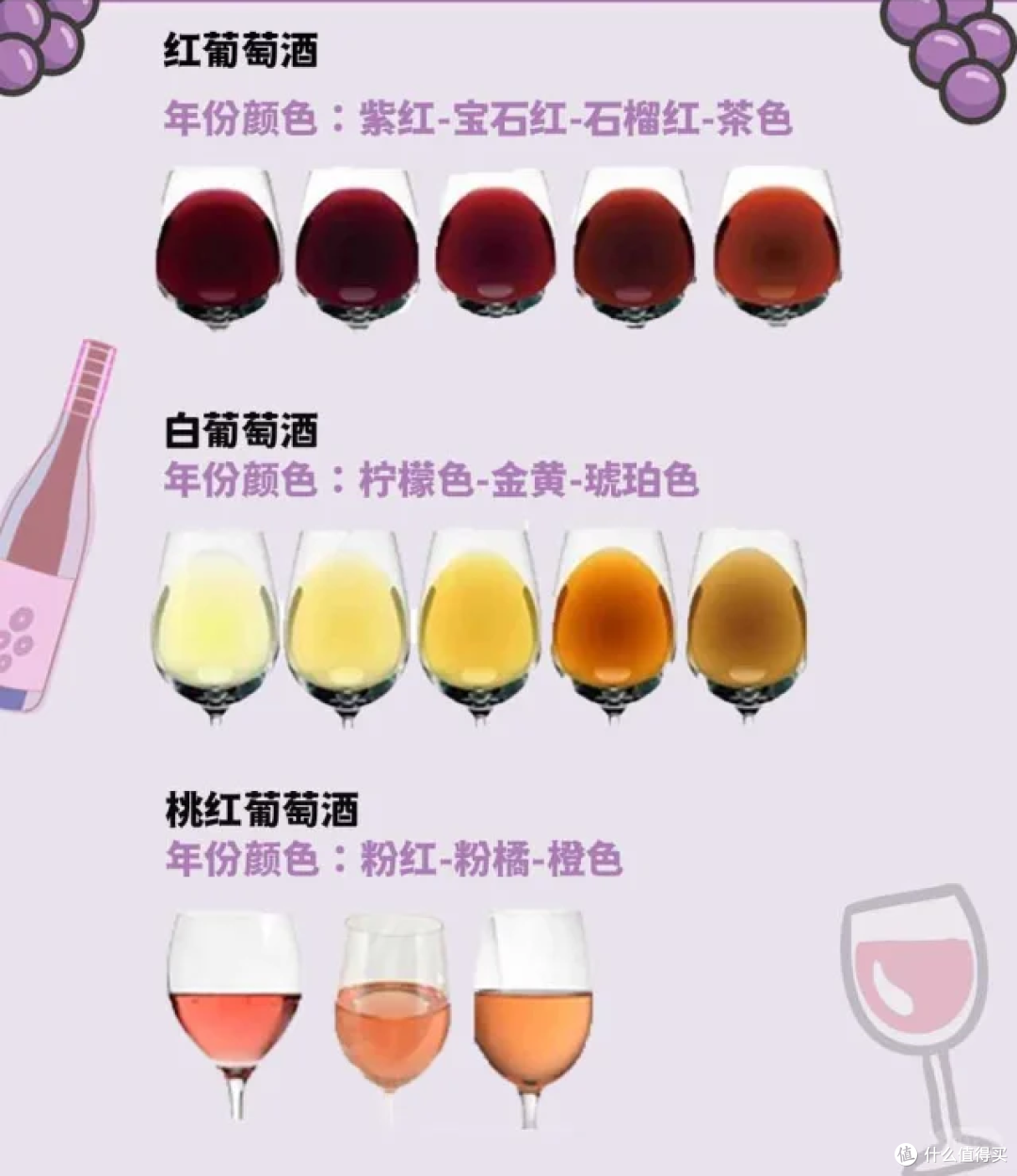 喝酒指南,读懂葡萄酒
