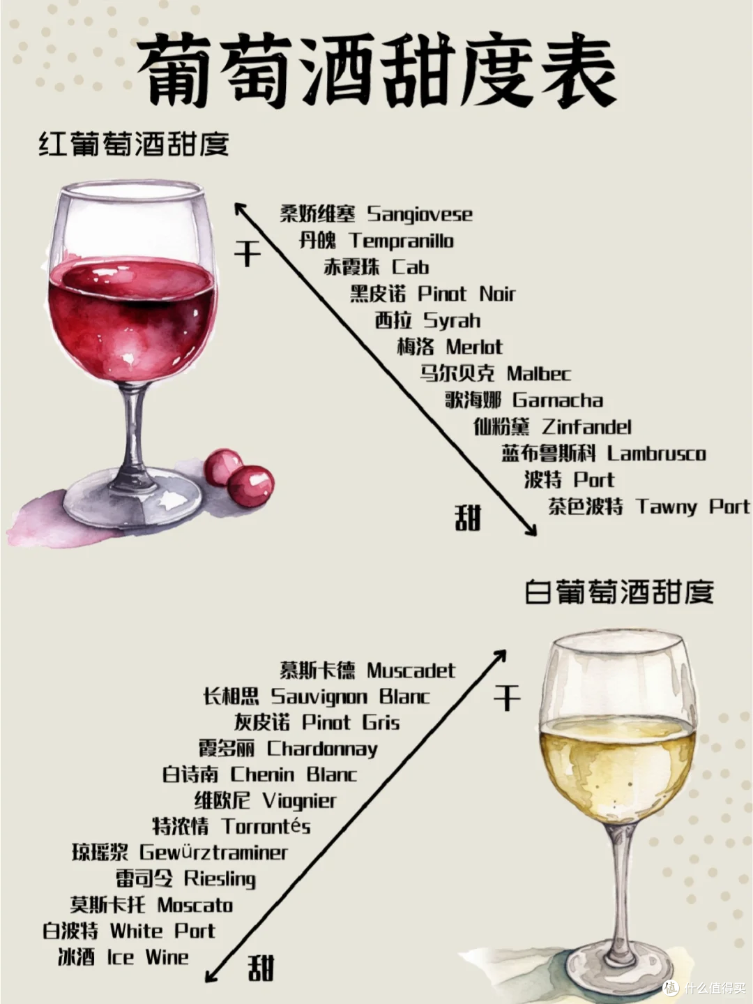 喝酒指南,读懂葡萄酒