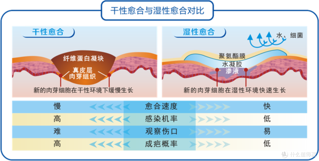 擦伤膝盖胳膊腿，怎么护理才能不留疤？摔伤后护理全过程实录，跟我这样做真的不留疤！！