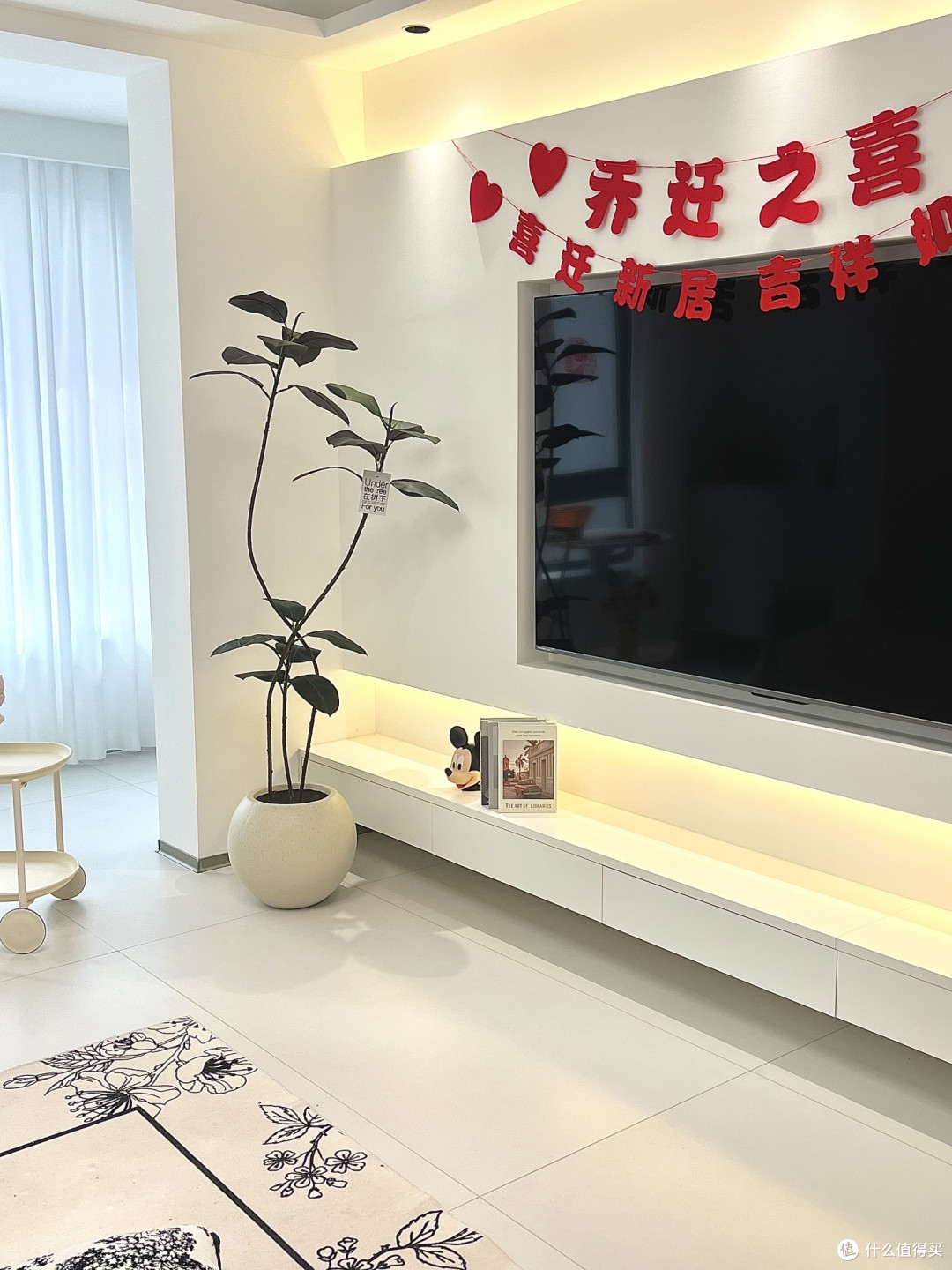 黑金刚橡皮树，你家客厅的新宠？