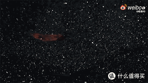当传统遇上幻想, 味觉与视觉共谱传奇, <<黑神话: 悟空>> 震撼呈献「齐天揽月」