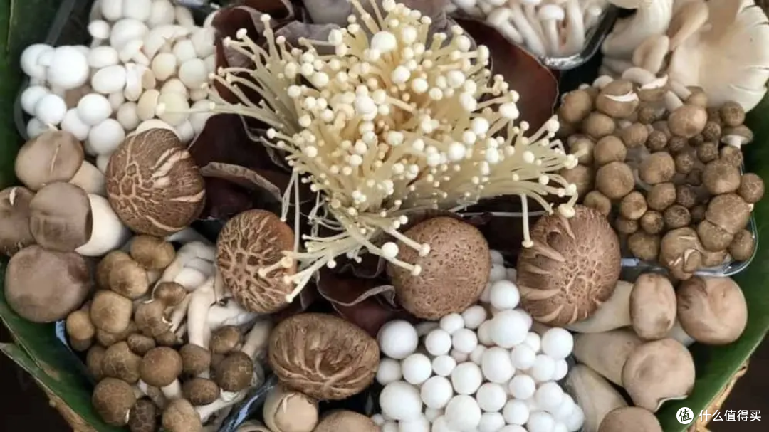 舌尖上的免疫力:10种提升抵抗力的超级食物及食谱 - 让你的餐盘成为最强防护盾
